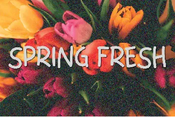 Spring Fresh font