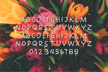 Spring Fresh font