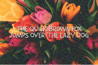 Spring Fresh font