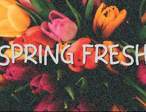 Spring Fresh font