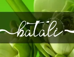 Batali Calligraphy font