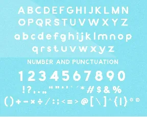 Raino Sans font