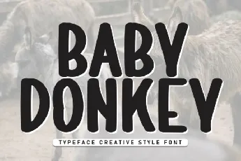 Baby Donkey Display font