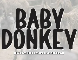 Baby Donkey Display font