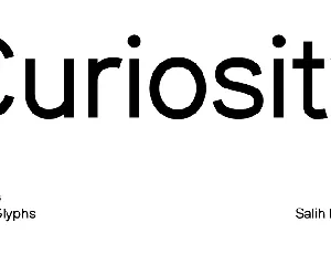 SK Curiosity Family font