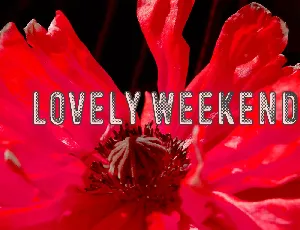 Lovely Weekend font