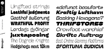 Stinger Sans Family font