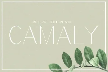 Camaly font