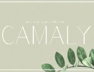 Camaly font