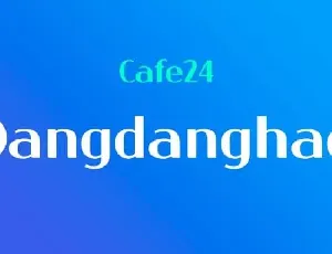 Dangdanghae Sans Serif font