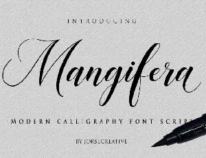 Mangifera Calligraphy font