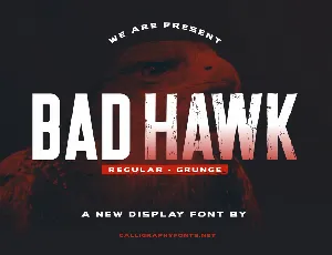 Bad Hawk Demo font