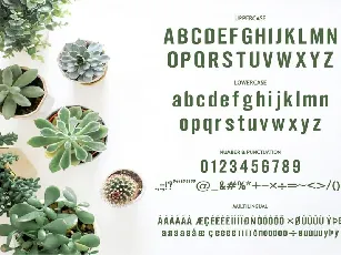 Estherilla Typeface font