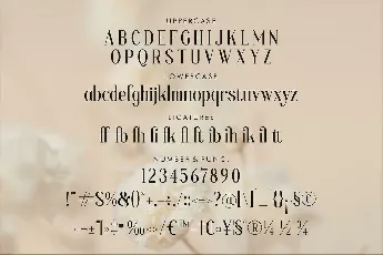 Blafhy Glibs font