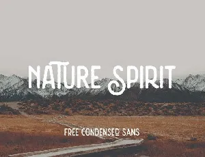 Nature Spirit Vintage font