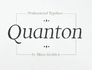 Quanton Family font