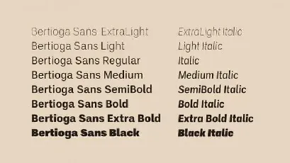 Bertioga Sans Serif Family font