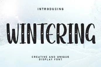 Wintering Display font