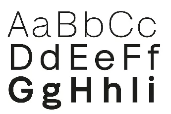 Neue Alte Grotesk Family font