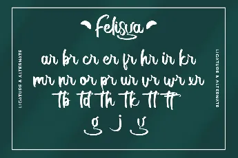 Felisya Demo font