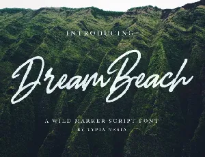 Dream Beach Script font