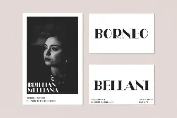 Rollina Serif font