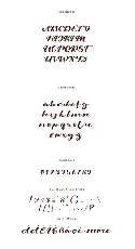 Viksi font