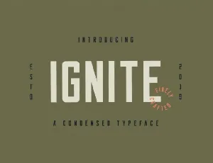 Ignite Sans Serif font