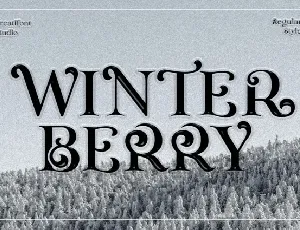 CF Winterberry font