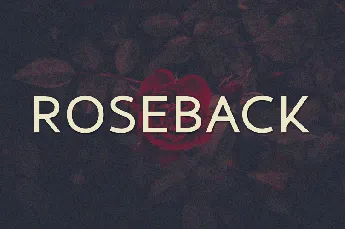 Roseback font