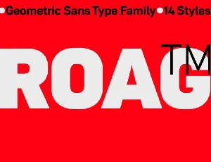 Roag Family font