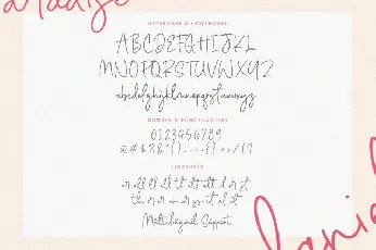 Daniela Paradise font