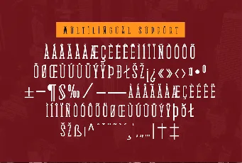 Medan Slab font