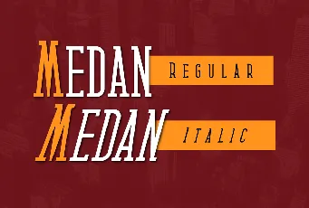 Medan Slab font