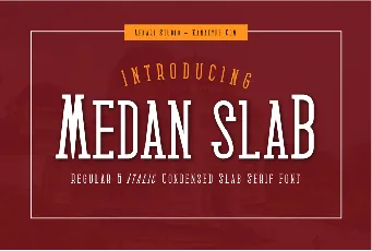 Medan Slab font