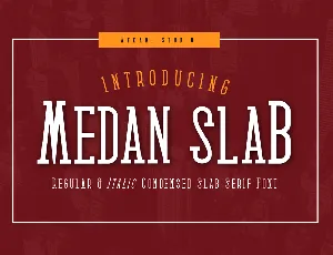 Medan Slab font