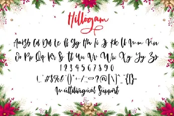 Hillogam Personal Use Only font