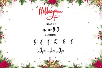 Hillogam Personal Use Only font