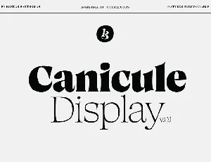Canicule Family font