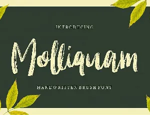 Molliquam Brush font