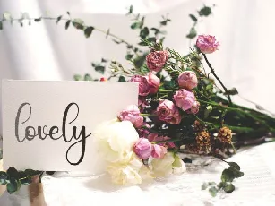 Wedding Handwritten Typeface font