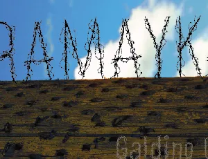 Aramayka font