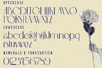 MCLASSIC FONT