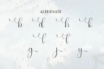 Rainday Script Typeface font