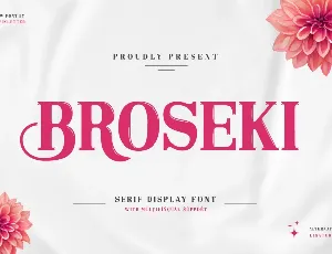 Broseki font