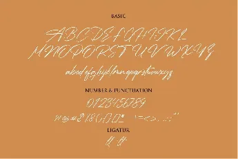 D.Signature font