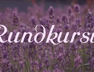 Rundkursiv font