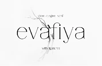 Evafiya font