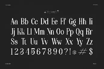 Aikonig font