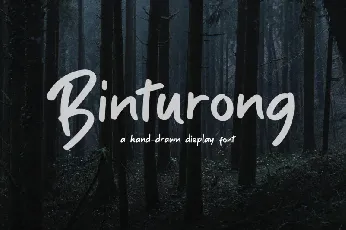 Binturong font